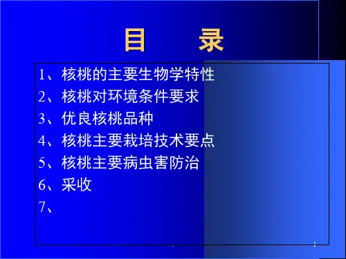 核桃主要栽培技术管理课堂PPT