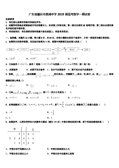 广东省肇庆市鼎湖中学2025届高考数学一模试卷含解析