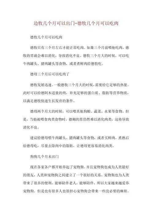 边牧几个月可以出门-德牧几个月可以吃肉