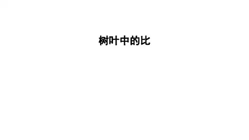 六年级上册数学习题课件-树叶中的比 苏教版 