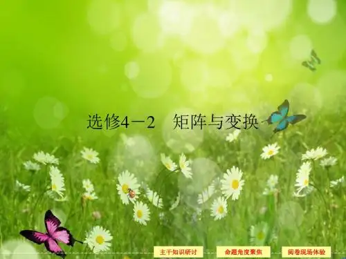 高考数学(理)二轮复习专题突破课件：选修4-2 矩阵与变换