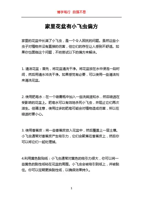家里花盆有小飞虫偏方