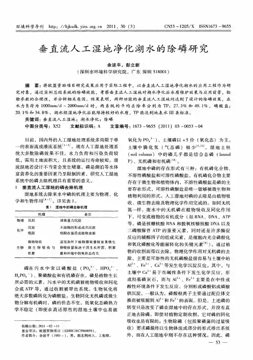 垂直流人工湿地净化湖水的除磷研究