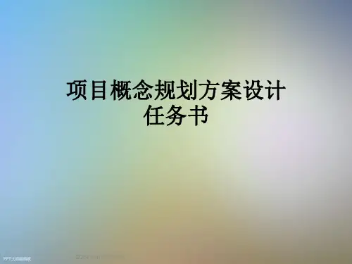 项目概念规划方案设计任务书
