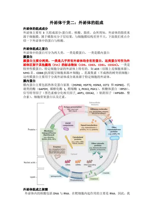 外泌体组成