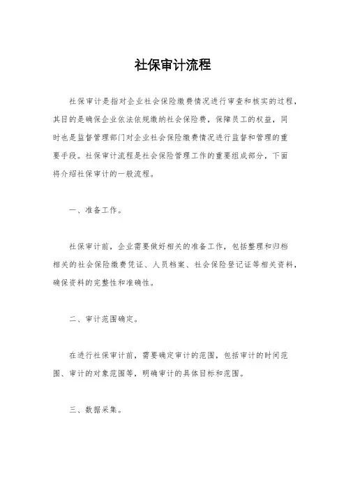 社保审计流程