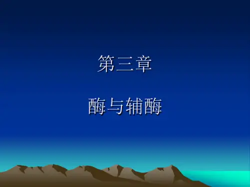 第三章 生物化学课件 酶与辅酶