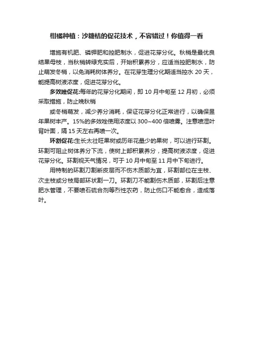 柑橘种植：沙糖桔的促花技术，不容错过！你值得一看