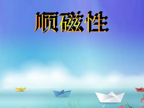 顺磁性PPT课件