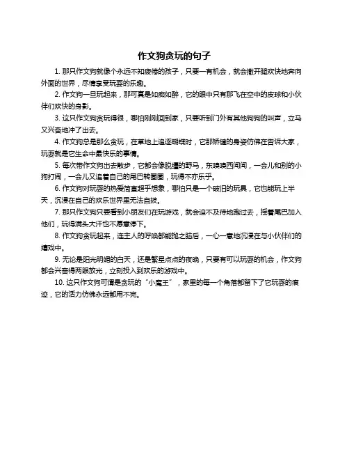 作文狗贪玩的句子