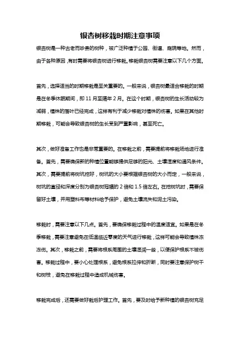 银杏树移栽时期注意事项