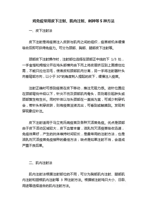 鸡免疫常用皮下注射、肌肉注射、刺种等5种方法