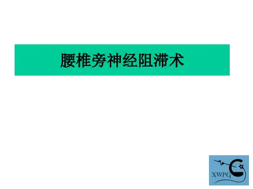 腰椎旁神经阻滞术PPT课件