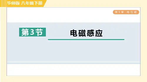 华师版八年级下册科学 第5章 5.3电磁感应 习题课件