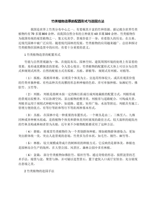 竹类植物造景的配置形式与造园方法
