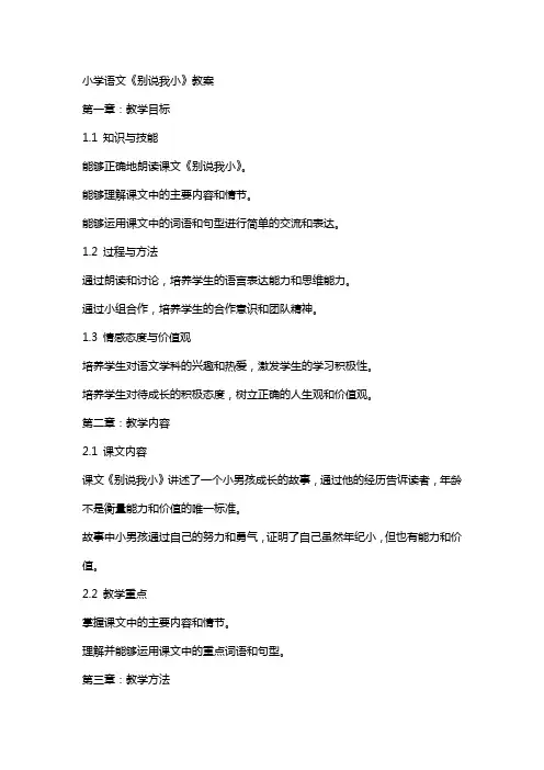 小学语文《别说我小》教案