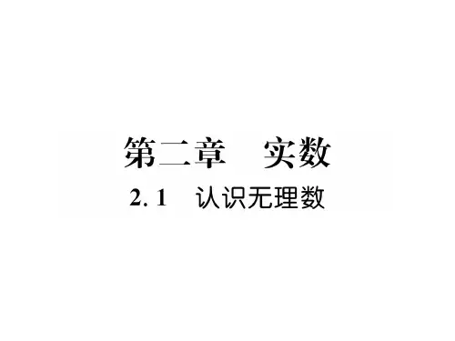 秋八年级数学北师大版上册课件：2.1 认识无理数 (共26张PPT)