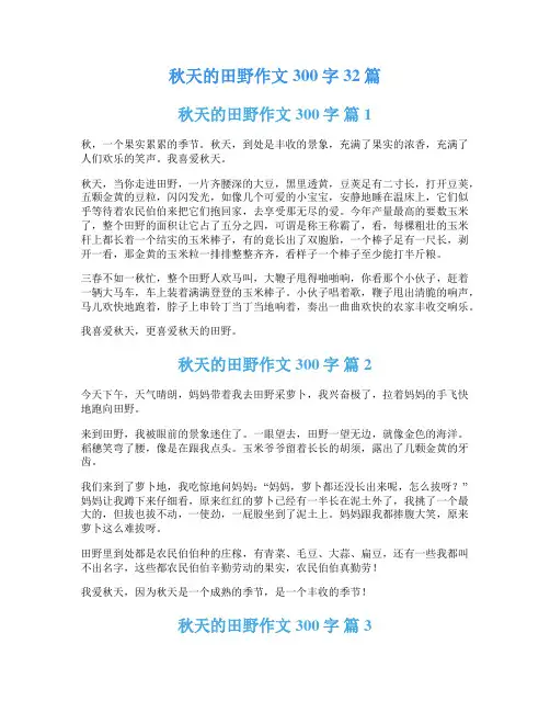 秋天的田野作文300字32篇
