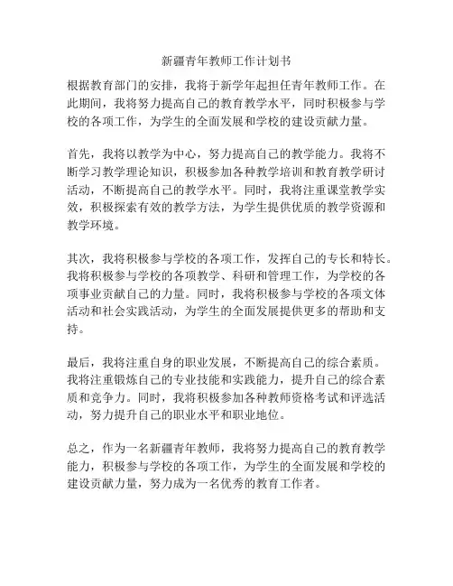 新疆青年教师工作计划书