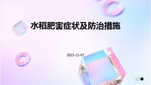 水稻肥害症状及防治措施