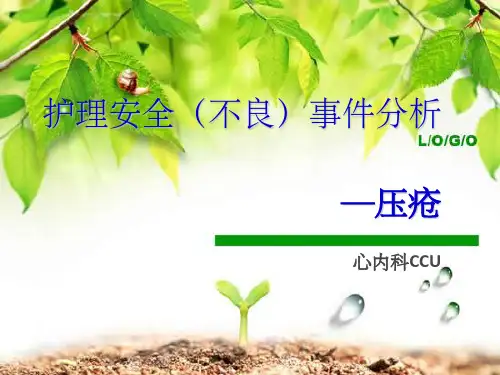 压疮不良事件分析ppt课件