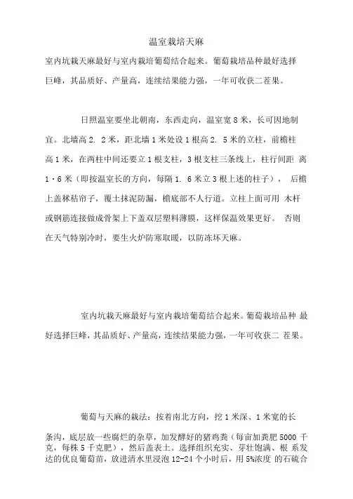 温室栽培天麻