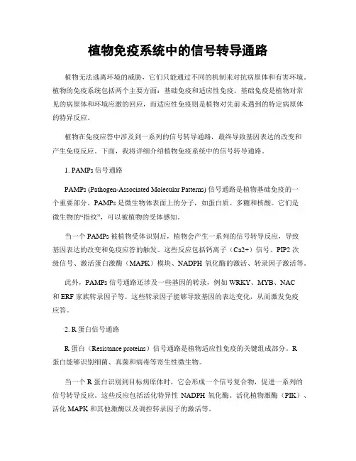 植物免疫系统中的信号转导通路