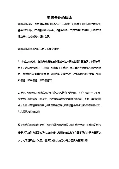 细胞分化的概念