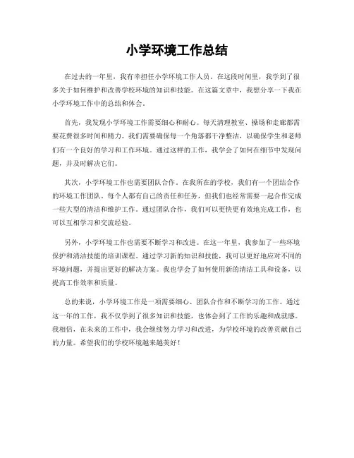 小学环境工作总结