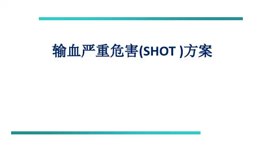 输血严重危害(SHOT )方案