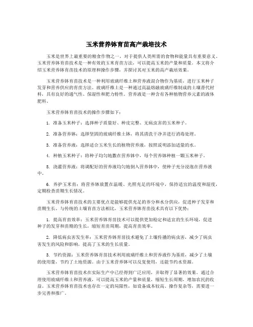 玉米营养钵育苗高产栽培技术