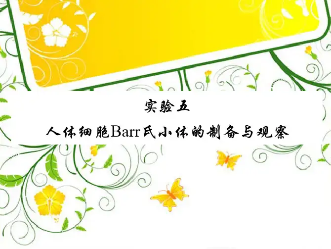 实验五 人体细胞Barr氏小体的制备与观察