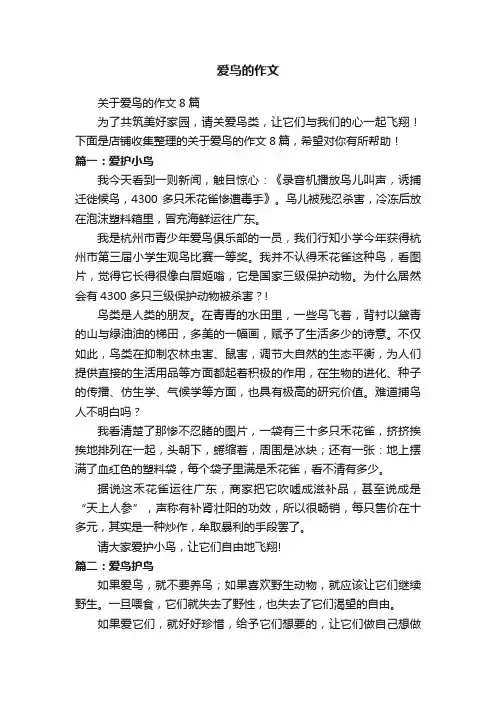 爱鸟的作文