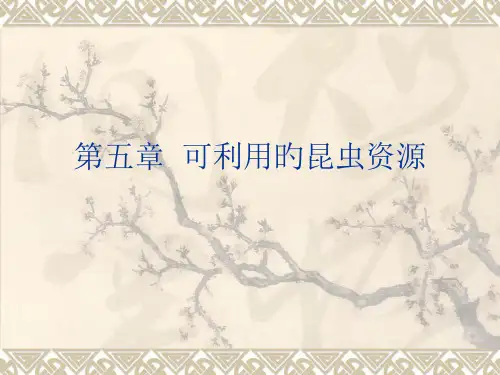 可利用的昆虫资源