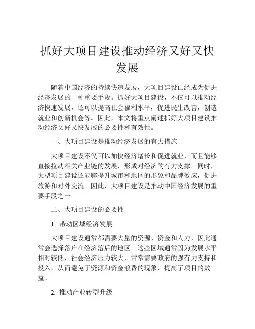抓好大项目建设推动经济又好又快发展