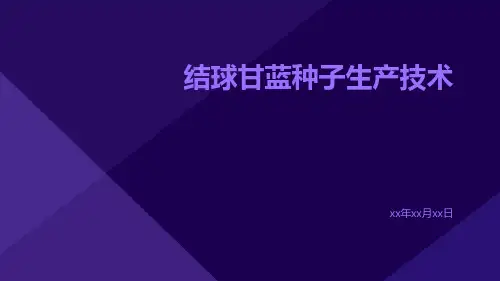 结球甘蓝种子生产技术