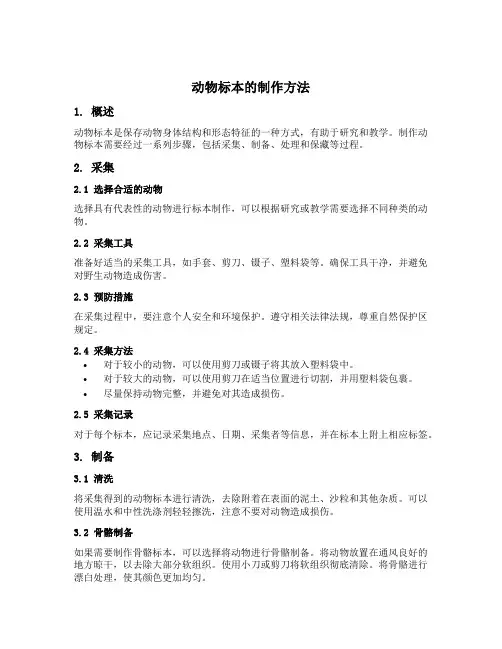动物标本的制作方法