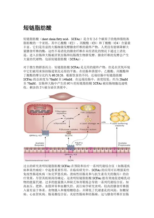 短链脂肪酸