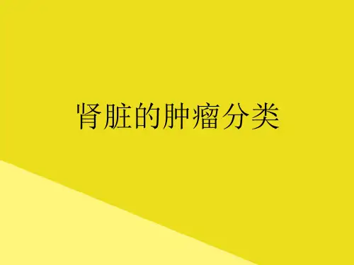 肾脏的肿瘤分类PPT资料(正式版)