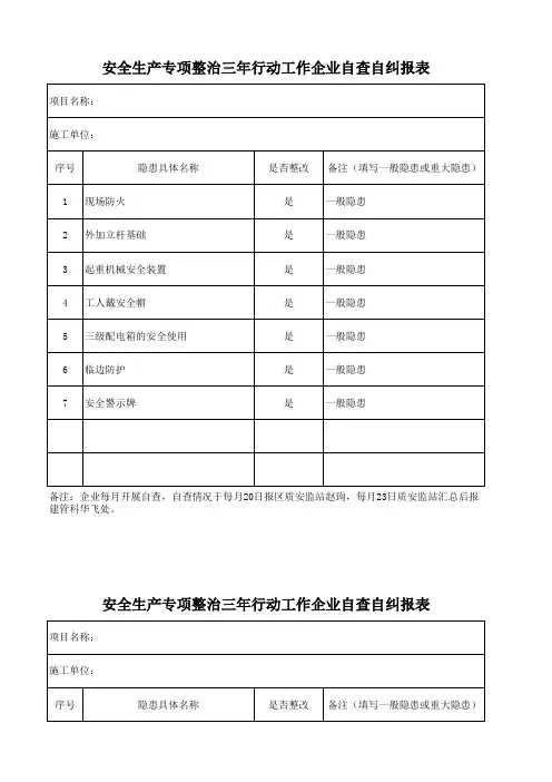 安全生产三年行动计划报表( )