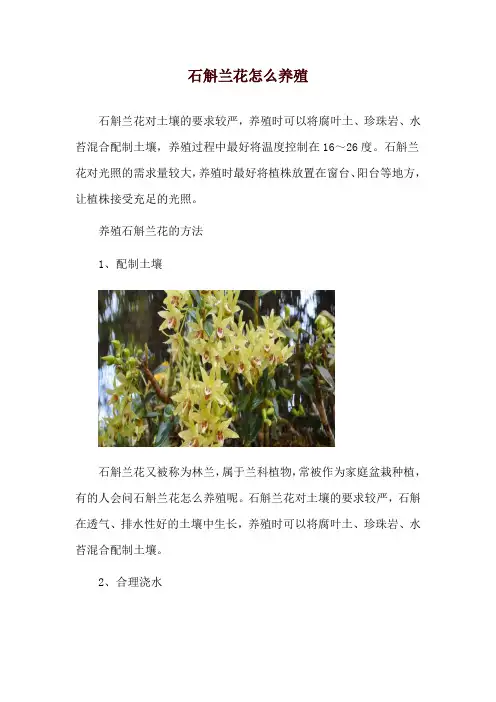 石斛兰花怎么养殖