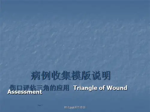 伤口评估三角PPT课件