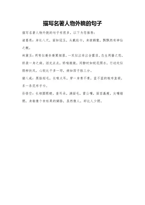 描写名著人物外貌的句子