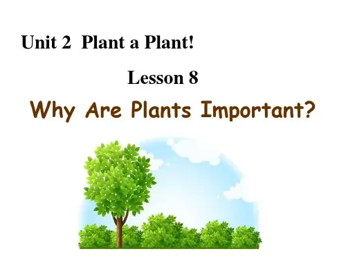 (课件)英语八下 冀教版  Unit 2 Lesson 8
