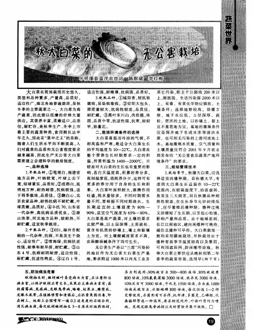 秋大白菜的无公害栽培