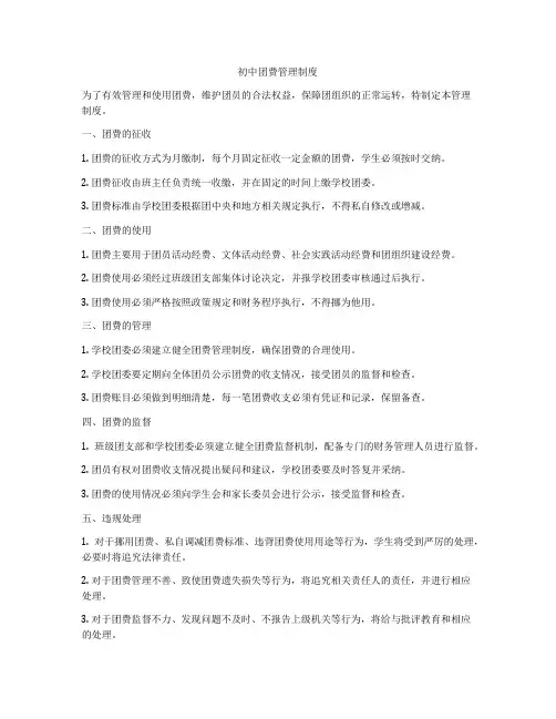 初中团费管理制度