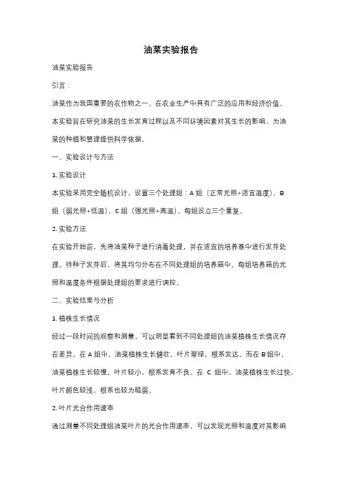 油菜实验报告