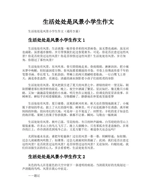生活处处是风景小学生作文