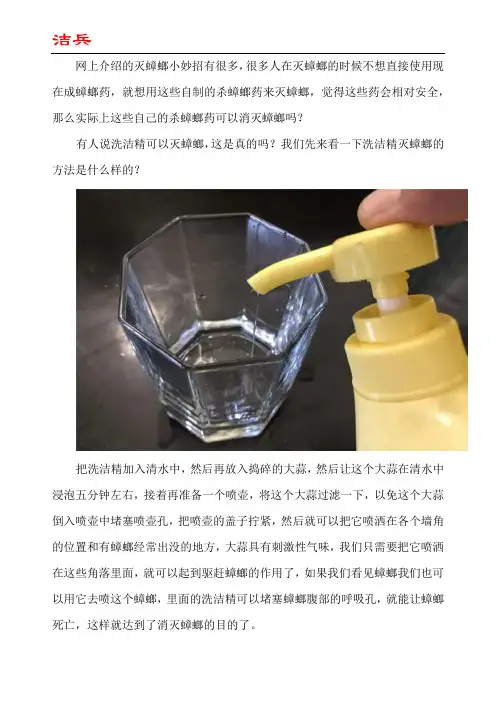 洗洁精自制杀蟑螂药有效吗