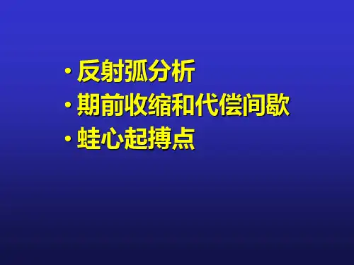 生理学：反射弧分析